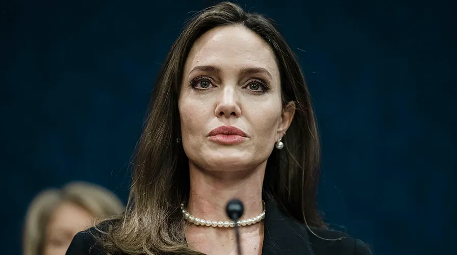 Angelina Jolie: Biography, Age, and Family – The Woman Behind the Fame 3 image 18